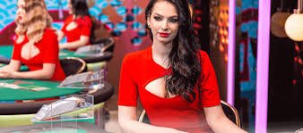 daya138